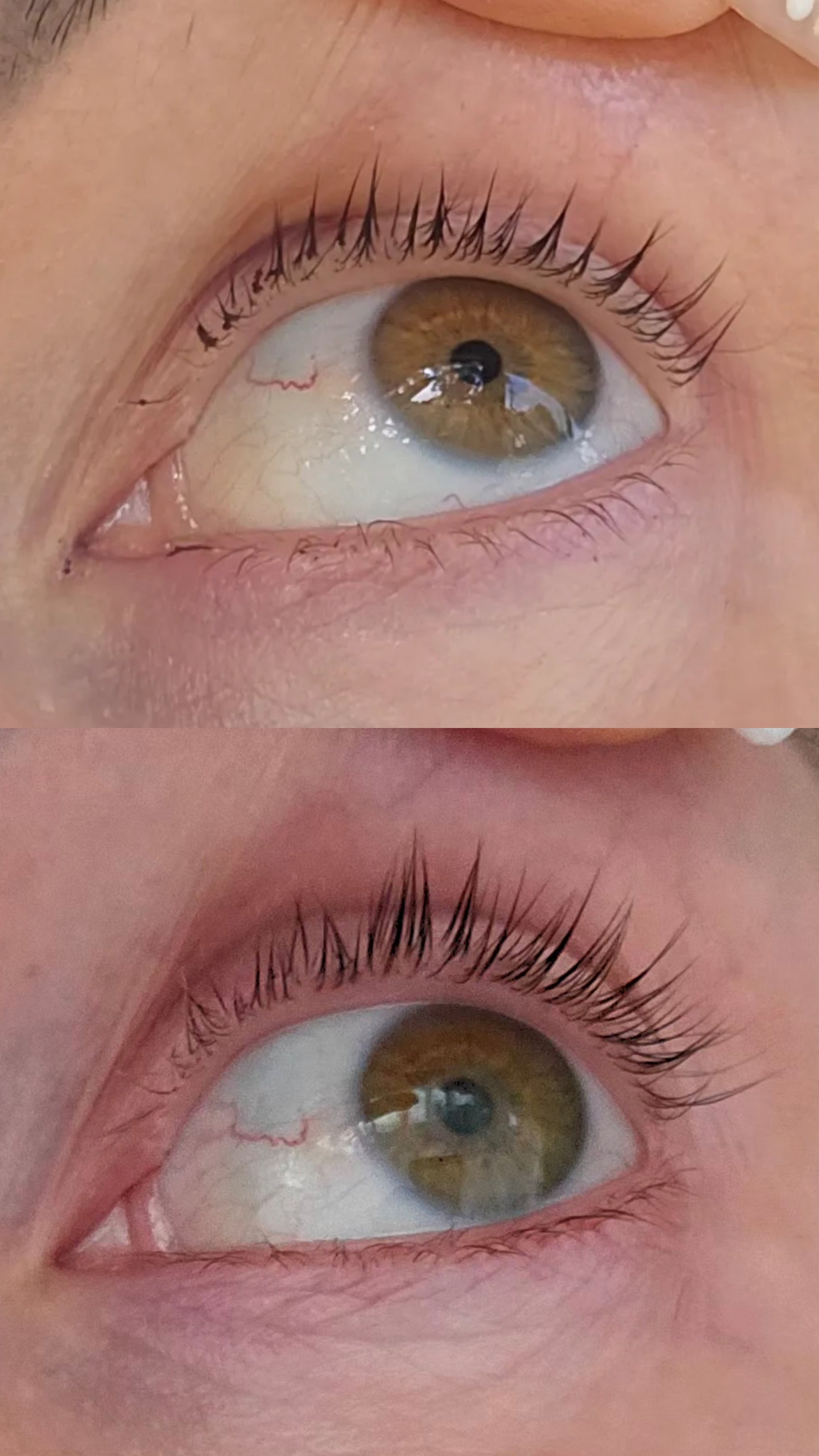 The Growth Phase™ Lash & Brow Exo Serum