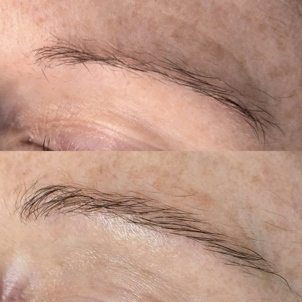 The Growth Phase™ Brow Restoration Kit