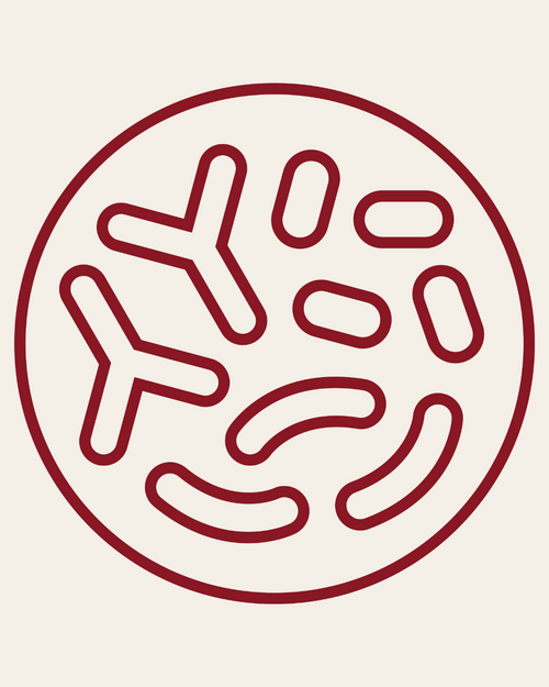 Microbiome Support