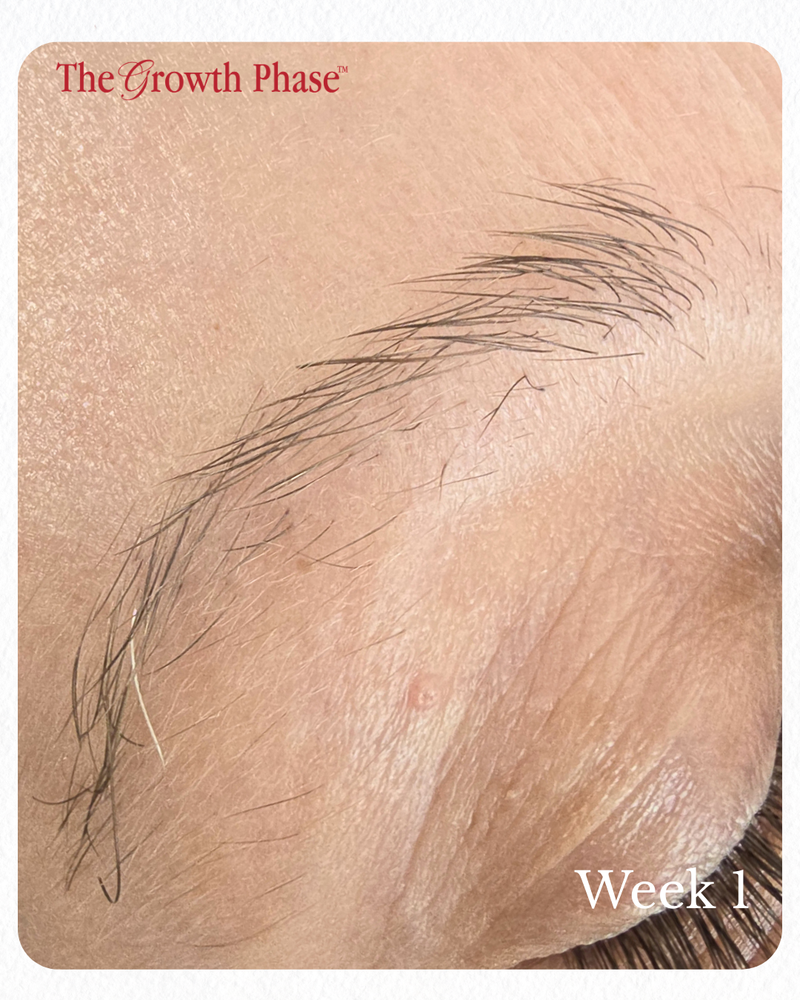 brow growth progression week 1 to week 16 The Growth Phase Williamstown