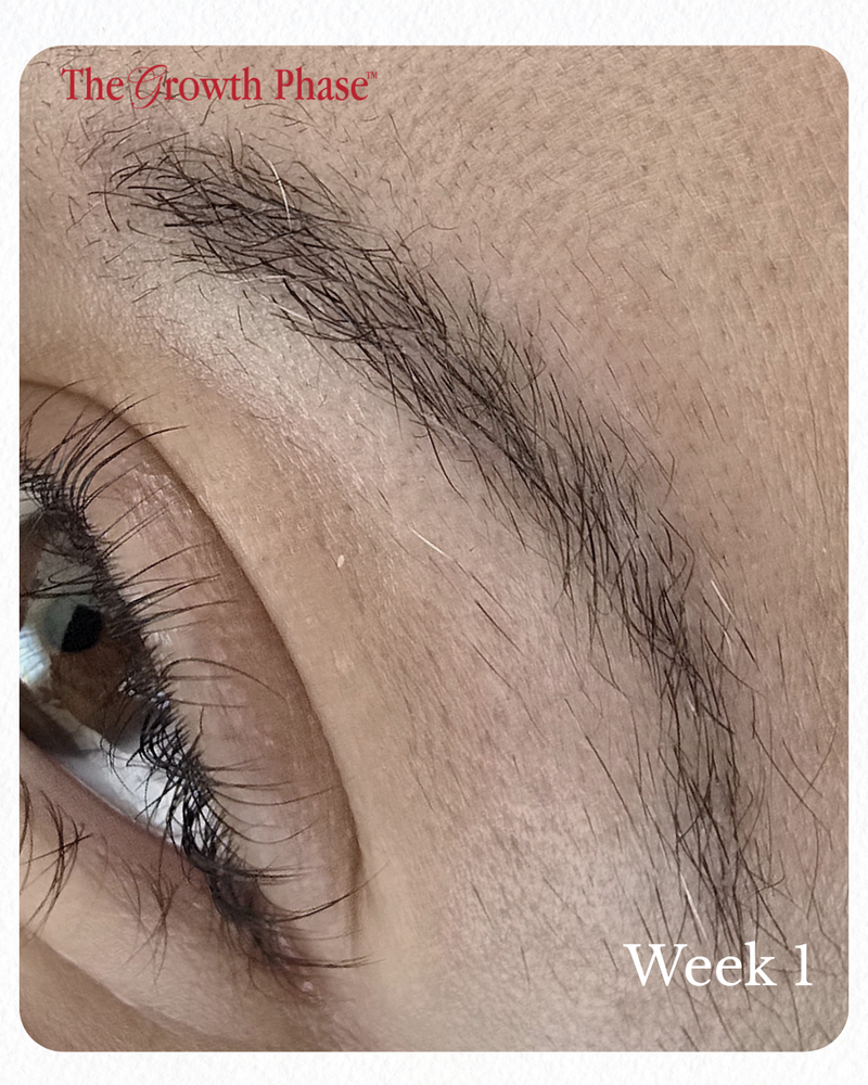 thinning brow before and after The Growth Phase brow regeneration