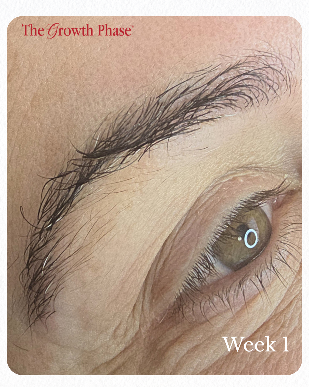 cosmetic tattoo client brow regrowth result The Growth Phase Williamstown