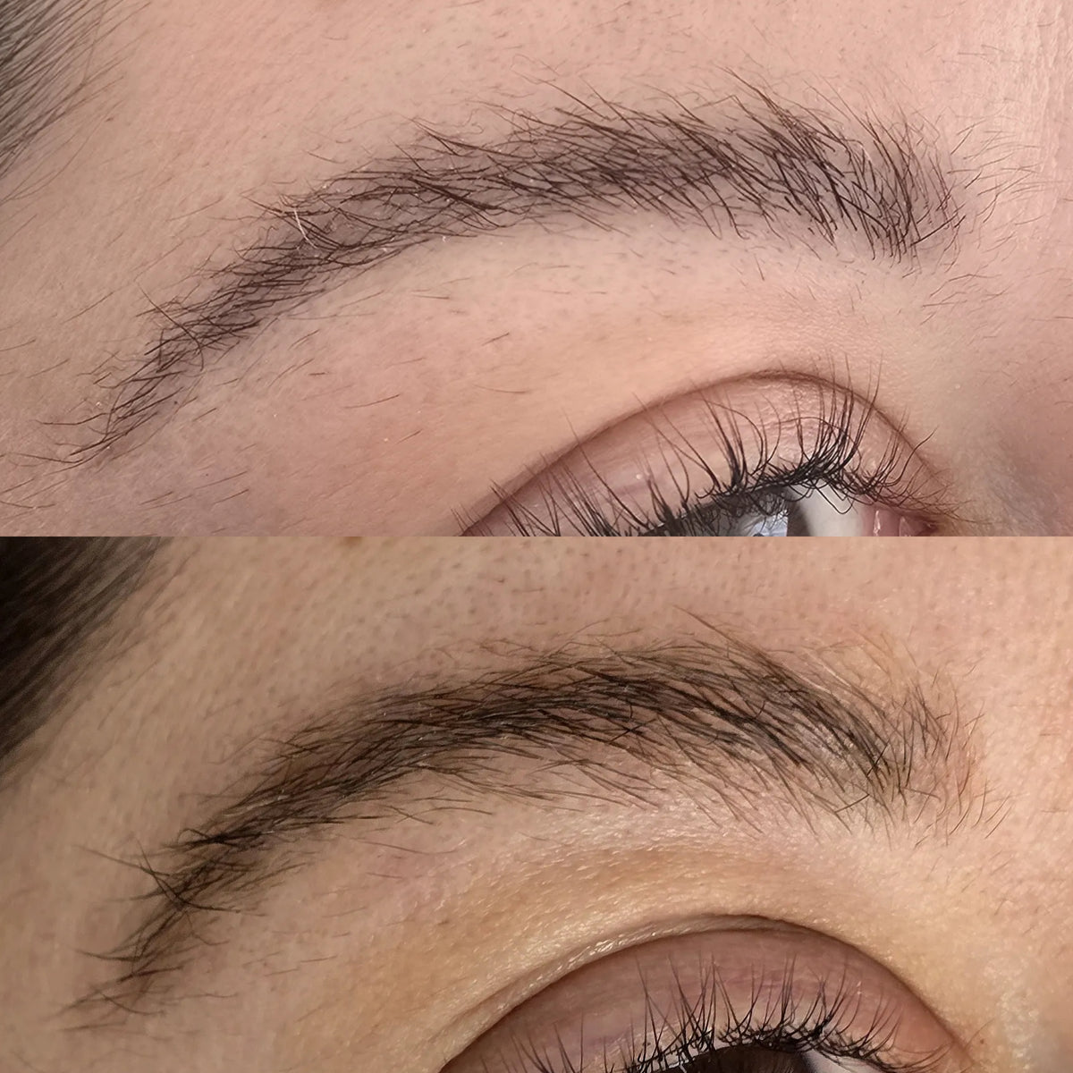 The Growth Phase™ Lash & Brow Exo Serum