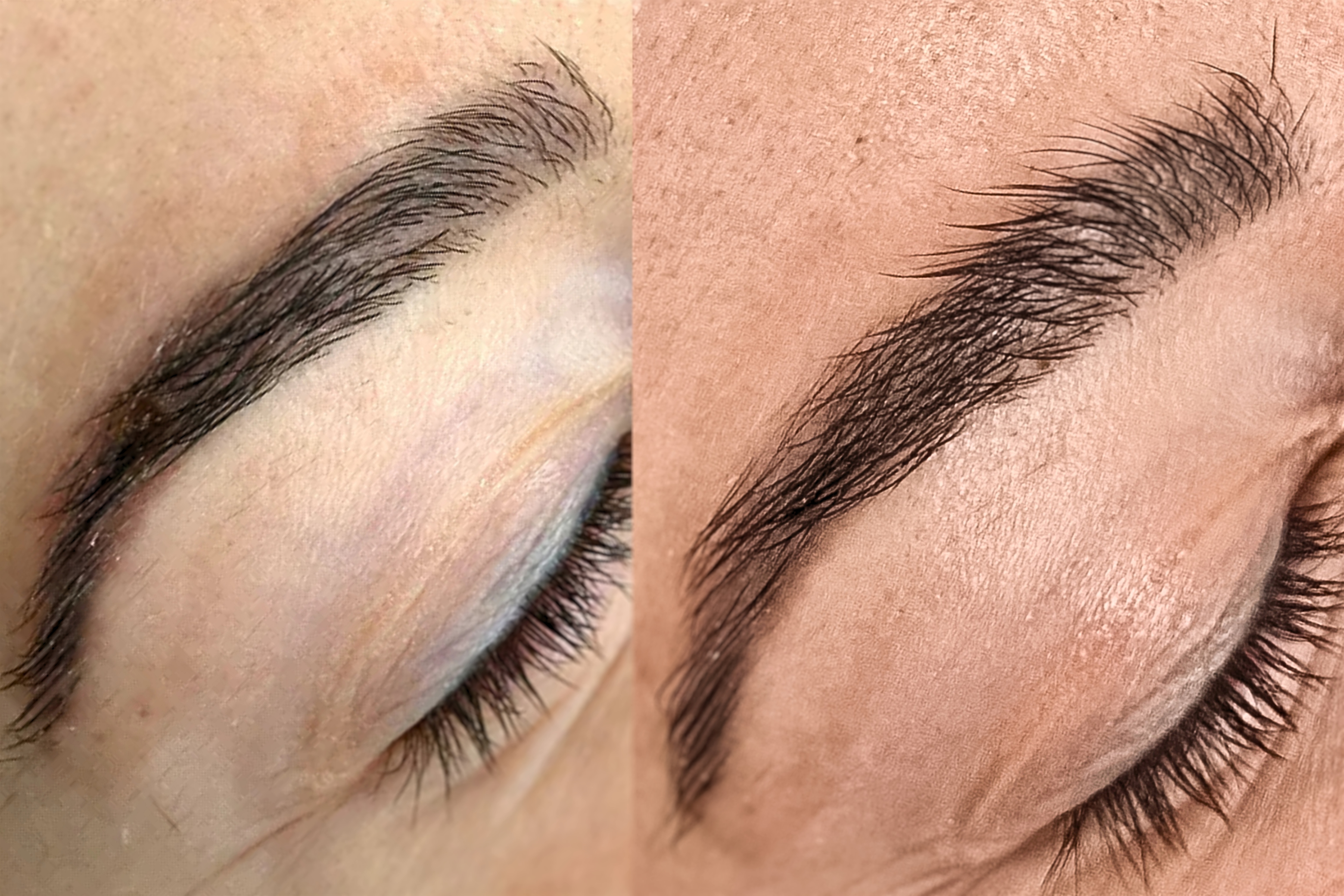 The Growth Phase™ 12–16 Week Brow Regeneration Program